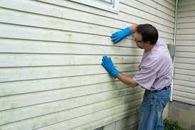 Best Custom Siding Design  in Maywood, CA